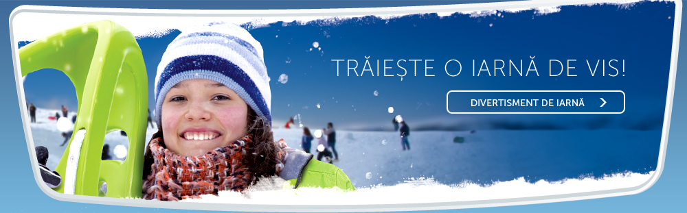 Divertisment de Iarna